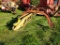 New Holland 258 Bar Rake