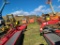 Massey Ferguson  Triple Mower