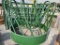 HaySaver  Feeder