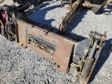 Cat  66