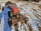 Gravely   Walk Behind Tractor 'AS-IS'