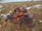 Hydraulic Breaker