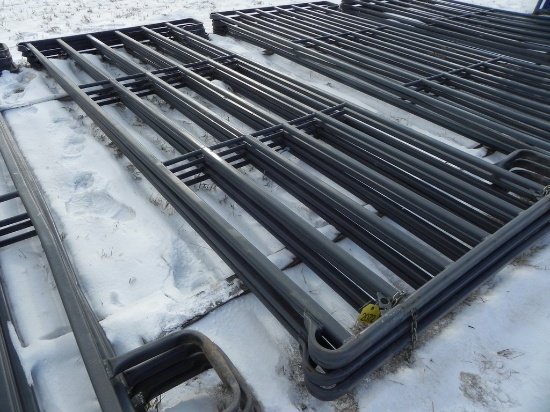 Corral Panels