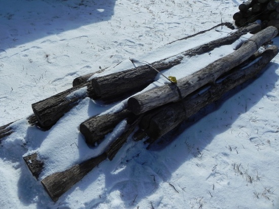 Locust Posts