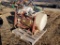 Demco  Sprayer