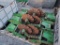 No Till Coulters