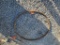 Rake Wheel Bands