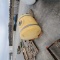 Sprayer Tank