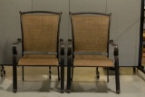 Pair of Indoor/Outdoor Chairs