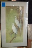 2 Bird Scene Prints