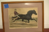 Champion Pacer Direct Print by J. Cameron