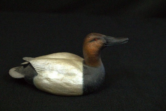 Canvasback North American Ducks Decoy Collection