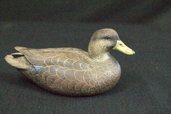 Black Duck North American Duck Decoy Collection