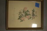 Rosa Multi Flora Carnea Print 17 1/2