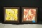 2 Framed Flower Prints