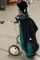 Golf Caddy with Clubs