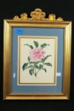 Gold Framed Floral Print