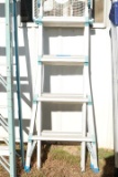 Cosco Ladder