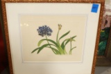 Signed Print Of Flowers