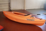 Sun Dolphin Kayak with Oar