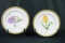 4 Timeless Treasures 22kt. Gold Plates