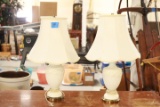 Pair Of Brass & Porcelain Lamps