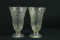 2 Iris & Herringbone Vases