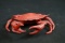 Metal Crab with Hinged Top