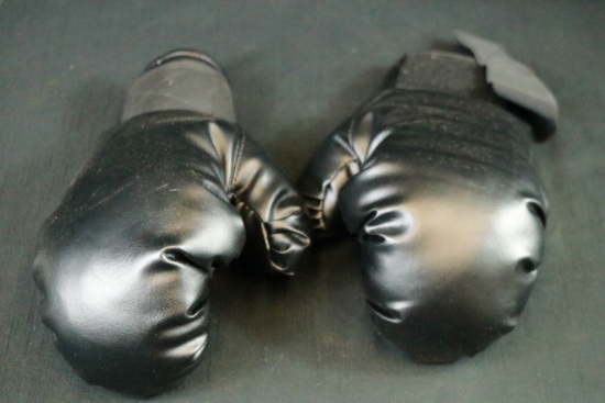 Pair Of Boxing Gloves