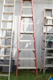 10 Ft. Step Ladder