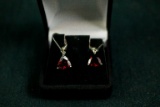 Pair of Sterling Silver Earrings with Rubys