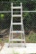 Folding Extension Ladder