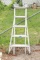 Folding Extension Ladder