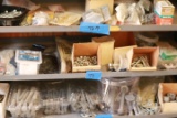 Assorted Nuts, Screws, & Bolts