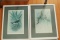 4 Framed Signed Bird Prints