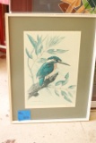 4 Bird Prints