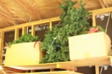 Christmas Tree & 2 Box of Garland