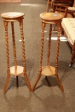 Oak Twist Leg Plant Stands