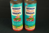 2 American Plastic Brick Toys