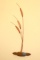 Cattails Wall Hanging