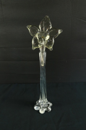 Glass Vase and Flower