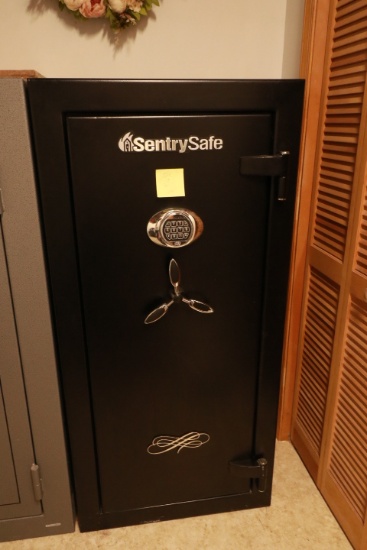 Sentry Safe Gun Safe
