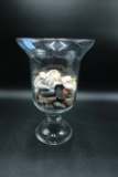 Vase with Shells