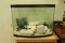 Glass Aquarium with Accessories