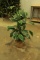 Faux Flower Decorative Plant