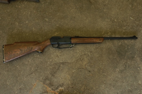 Daisy BB Gun