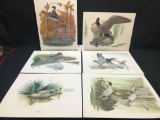 JL WADE 6 DUCK AND GOOSE PRINTS, UNFRAMED, 11X14