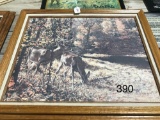 REMINGTON CANVS WHITETAIL PRINT, FRAMED