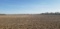 Tract 6: 80.63 acres m/l Irrigated Tillable Farmland