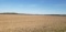 Tract 7: 121.86 acres m/l Irrigated Tillable Farmland